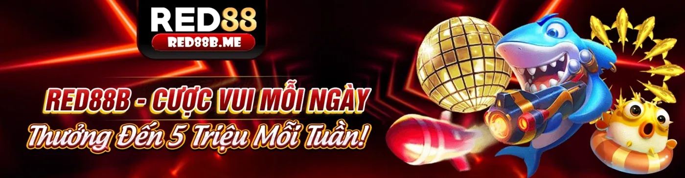 Tương lai của 5mbn với sự đổi mới và mở rộng